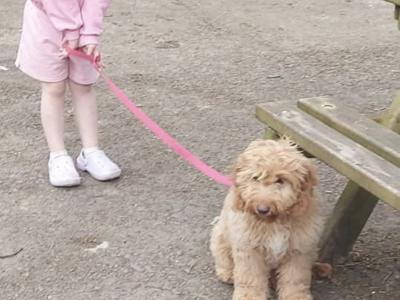 Bear 🐶🐾💕