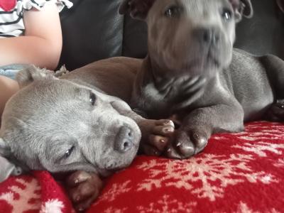 All 🔵 sold now to new family homes 🔵