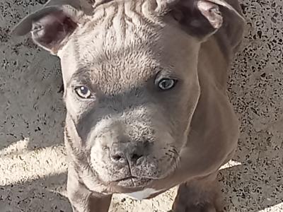 All 🔵 sold now to new family homes 🔵