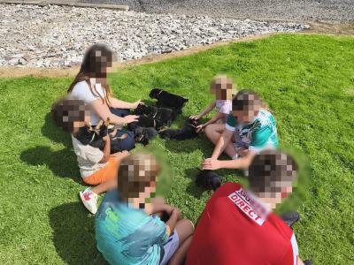 Rottweiler puppies in Meath – 6m 3f – 5★ homes Only
