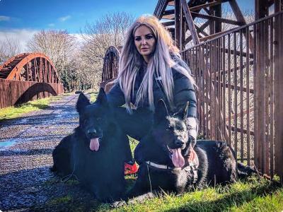 IKC Registered Pedigree Champion German Shepherd puppies in Kerry