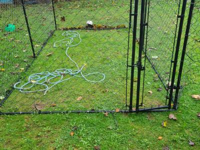 IKC Registered female German Shepherd puppy 4 months old in Cork - €799