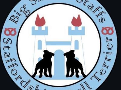 Quality Blue Staffordshire Bull Terrier Stud in Dublin