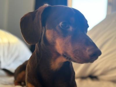 Bruce wants to be a dad