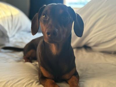Bruce wants to be a dad