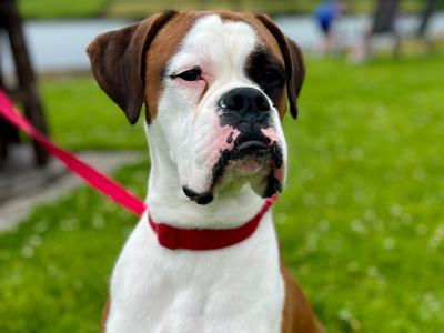 Kojak  - Who Loves Ya Baby!