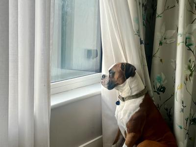 Kojak  - Who Loves Ya Baby!