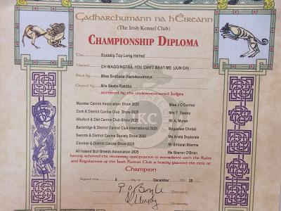 IKC Registered female Russian Toy Terrier puppies in Clare