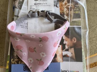 French Bulldog Puppy