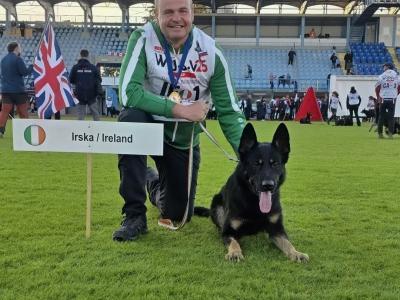 IGP national champion🇮🇪 IKC Registered Straigh Back German Shepherd Intelligent puppies