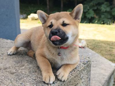 Aki ♥️