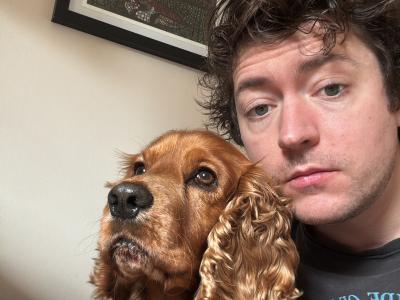 Extremely friendly 6 year old golden Cocker Spaniel for stud