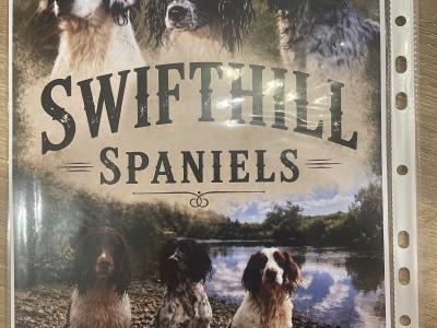 English Springer Spaniel puppies in Louth