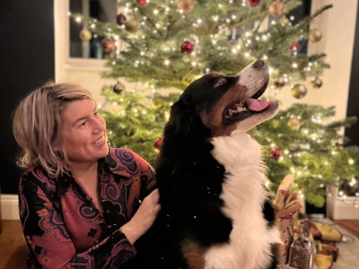 Archie is a handsome, friendly, beautifully marked IKC Registered Bernese Mountain Dog