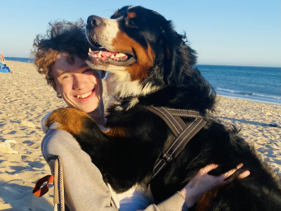 Archie is a handsome, friendly, beautifully marked IKC Registered Bernese Mountain Dog
