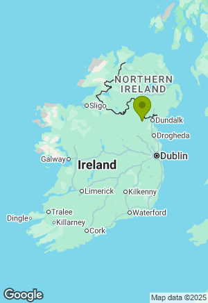 Border Collie for sale in Monaghan