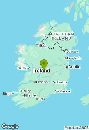 Border Collie for sale in Offaly