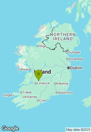 Dachshund for sale in Tipperary
