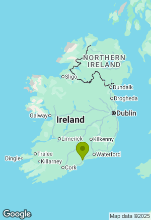German Shepherd for sale in Waterford