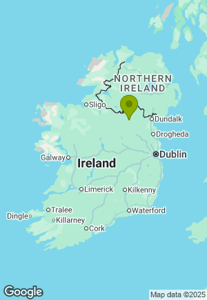 Setter for sale in Cavan