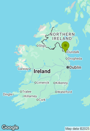 Border Collie for sale in Louth