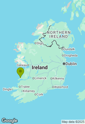 Staffordshire Bull Terrier for sale in Clare