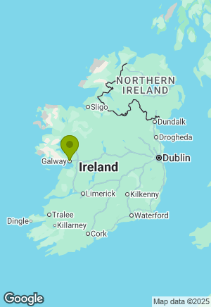 Irish Wolfhound for sale in Galway