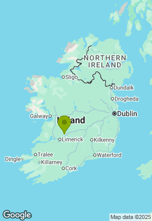 Dachshund for sale in Clare