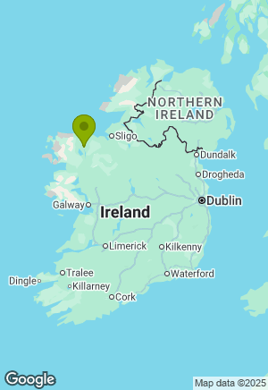 Golden Retriever for sale in Mayo