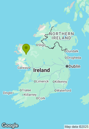 Siberian Husky for sale in Mayo