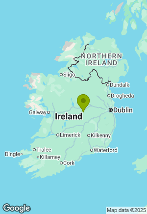 Staffordshire Bull Terrier for sale in Offaly