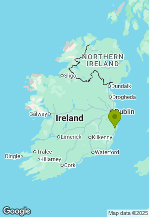 St Bernard for sale in Wicklow