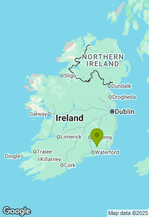 Cane Corso for sale in Wexford