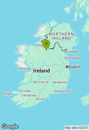 Newfoundland for sale in Leitrim