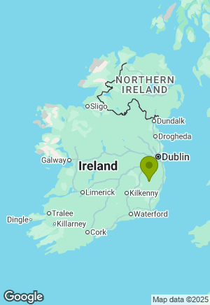 Siberian Husky for sale in Carlow