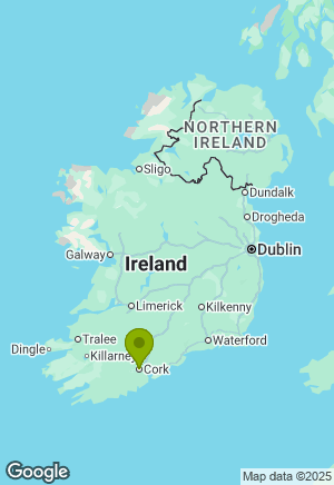 Border Collie for sale in Cork