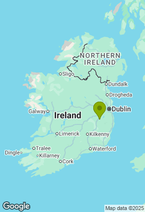 West Highland Terrier for sale in Wicklow