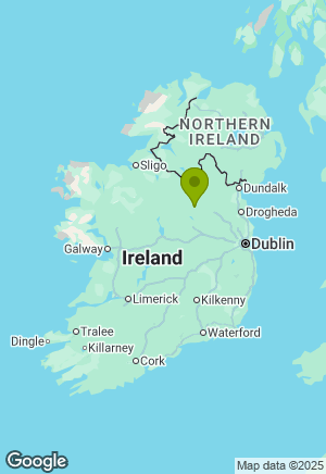 Irish Wolfhound for sale in Down