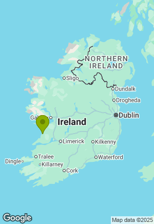 Labrador for sale in Clare