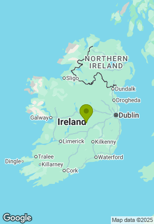Staffordshire Bull Terrier for sale in Offaly