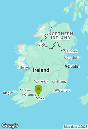 Golden Retriever for sale in Cork