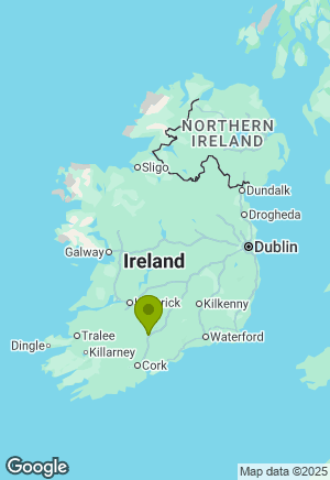Border Collie for sale in Cork