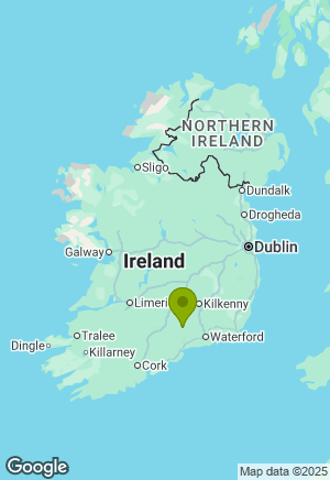 Lurcher for sale in Tipperary