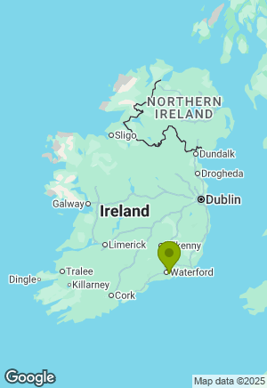 Sprocker for sale in Waterford