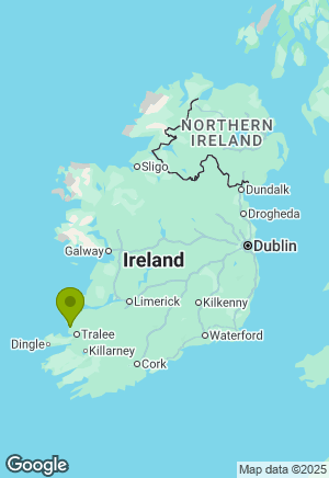 Dobermann for sale in Kerry