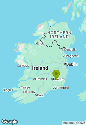 Border Collie for sale in Carlow