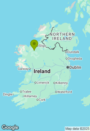 American Staffordshire Terrier for sale in Sligo