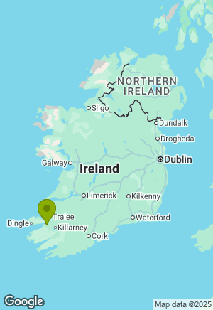 German Shepherd for sale in Kerry