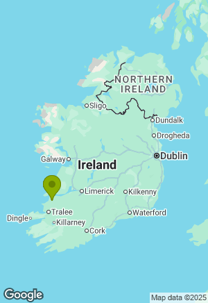 Dobermann for sale in Kerry