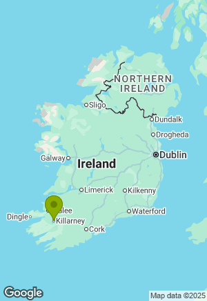 Dobermann for sale in Kerry